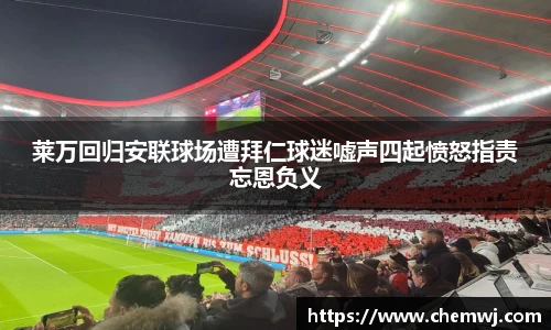 星空综合官网