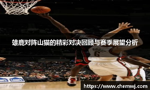 星空综合官网
