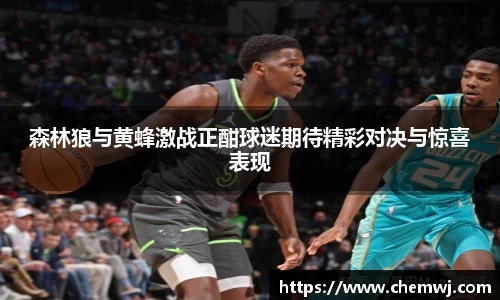 星空综合官方网站